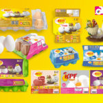 Bulk Marketing Materials printing